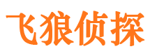 梓潼市私家侦探